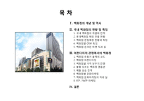 백화점의 현황 및 특징과 마케팅 전략-2
