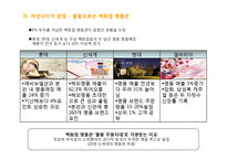 백화점의 현황 및 특징과 마케팅 전략-18