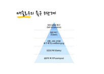 [소비자학] 매슬로우의 욕구 5단계와 동기갈등의 유형과 사례-3