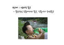 [소비자학] 매슬로우의 욕구 5단계와 동기갈등의 유형과 사례-4
