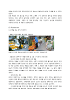 [경영학] 총각네 야채가게 서비스 마케팅 사례 분석-10