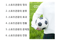 [관광학] 스포츠 관광의 현황과 문제점 및 전망-2
