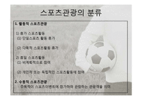 [관광학] 스포츠 관광의 현황과 문제점 및 전망-4