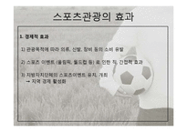 [관광학] 스포츠 관광의 현황과 문제점 및 전망-5