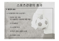 [관광학] 스포츠 관광의 현황과 문제점 및 전망-7