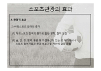 [관광학] 스포츠 관광의 현황과 문제점 및 전망-8