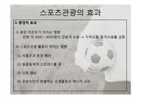 [관광학] 스포츠 관광의 현황과 문제점 및 전망-9