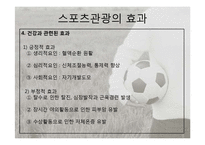 [관광학] 스포츠 관광의 현황과 문제점 및 전망-10