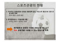 [관광학] 스포츠 관광의 현황과 문제점 및 전망-11