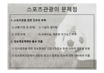 [관광학] 스포츠 관광의 현황과 문제점 및 전망-12