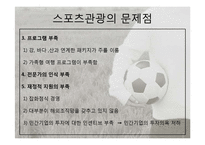 [관광학] 스포츠 관광의 현황과 문제점 및 전망-13