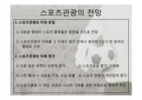 [관광학] 스포츠 관광의 현황과 문제점 및 전망-14
