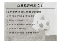 [관광학] 스포츠 관광의 현황과 문제점 및 전망-16