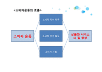 [소비자학] 국내외 소비자운동 사례와 개선점-6