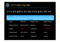 [광고론] 브랜드 슬로건 도출 실습-CUT-OFF 기법 적용-14