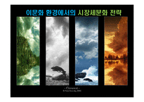 글로벌 경영환경에서의 시장세분화 전략-1