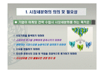 글로벌 경영환경에서의 시장세분화 전략-9