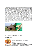 일본 낫토 정의와 종류와 및 특징, 기원, 유래, 낫토를 이용한 퓨전요리, 기타 일본의 발효식품들 조사분석-8