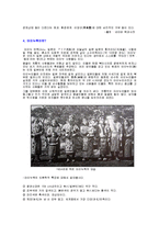 일본사회 속 혼혈의 역사 및 특징, 유래, 원인, 정의, 아이누족의 특징, 메이지 유신 때 혼혈의 장려 조사분석-4