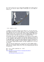 일본사회 속 혼혈의 역사 및 특징, 유래, 원인, 정의, 아이누족의 특징, 메이지 유신 때 혼혈의 장려 조사분석-6