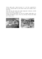 일본 위안부 기원 및 선발배경, 유래, 과정, 위안부의 실상, 역사적 의미, 한국정부의 대응, 국제사회의 대응, 평가, 문화, 해결방안,-11
