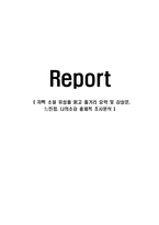 차펙 소설 유성을 읽고 줄거리 요약 및 감상문, 느낀점, 나의소감 총체적 조사분석-1