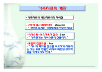 가족에 대한 원조-8