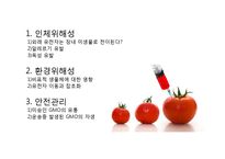 GMO의 단점 및 그 사례 와 생각-2