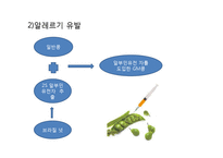 GMO의 단점 및 그 사례 와 생각-4