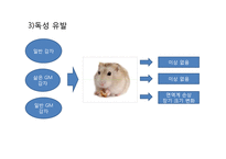 GMO의 단점 및 그 사례 와 생각-5