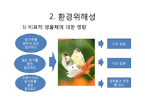 GMO의 단점 및 그 사례 와 생각-6