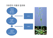 GMO의 단점 및 그 사례 와 생각-7