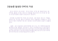 GMO의 단점 및 그 사례 와 생각-9