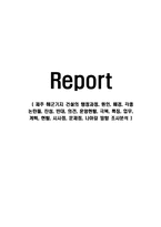 제주 해군기지 건설의 행정과정, 원인, 배경, 각종 논란들, 찬성, 반대, 의견, 운영현황, 극복, 특징, 업무, 계획, 현황, 시사점, 문제점, 나아갈 방향 조사분석-1