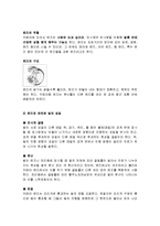 카메라 렌즈의 특징, 종류, 빛의 성질, 화각, 역할, 사용법, 특징, 차이, 현황, 분석, 시사점, 총체적 조사분석-4