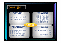 한국프로배구 활성화 전략(KOVO 입장)-8