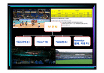 한국프로배구 활성화 전략(KOVO 입장)-9