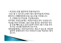 단기금융상품 재테크의 이유, 종류, 방법, 개념, 특징, 고려사항, 효과, 특징, 성과, 문제점, 해결방안, 총체적 조사분석-9