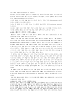 [교육사상가] 감리교의 창시자 요한 웨슬리의 생애-4