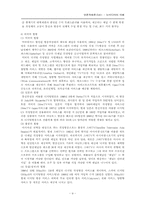 [언론학] 뉴미디어의 이해-11