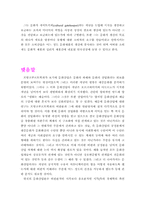 [언론학] 프랑크푸르트학파의 문화산업론-14