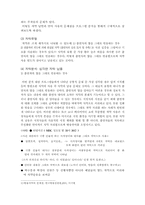 [졸업][신문방송] 방송자막의 실태와 문제점-9