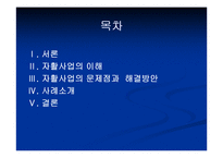 자활사업의 이해 및 문제점과 해결방안-2