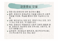 장애인복지 서비스 접근모델-3