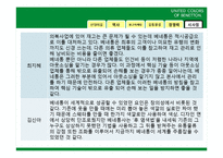 베네통(BENETTON) 역사, 광고 마케팅, 유통물류 장점, 경쟁력, 기업 소개, 특징, 마케팅 믹스, 경영 전략, 시사점, 총체적 조사분석-19