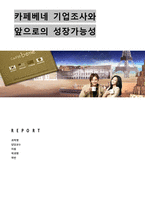 카페베네 기업조사와 투자적절성 검토-2