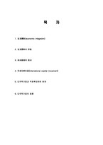 경제통합 및 국제투자의 개념, 특징, 유형, 관세동맹 효과, 직접투자, 간접투자, 경영전략, 성공전략, 국제자본이동, 직접투자와의 관계-2