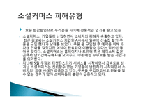 소비자 피해사례, 불만, 소셜커머스, `10원경매, G마켓 사칭 신종 보이스, 중고차 매매, 다이어트 식품 피해, 현금 거래 시 할인 피해사례, 역할, 시사점, 문제점 해결방안 조사분석-3