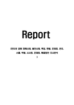 인터넷 경매 피해사례, 불만사례, 특징, 현황, 문제점, 관리, 소홀, 역할, 시사점, 문제점, 해결방안 조사분석-1