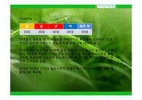 인터넷 지식 거래 사이트 창업성공사례, 성공적인 경영전략 및 마케팅전략과 성공배경, 운영현황, 조직구성, 시장현황 조사분석-14